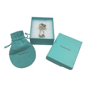Tiffany & CO. Infinity Necklace - FULL INCLUSION